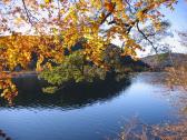 Photo du lac de longemer en automne